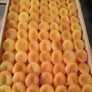 10 kg packaged sulphurated dried apricots