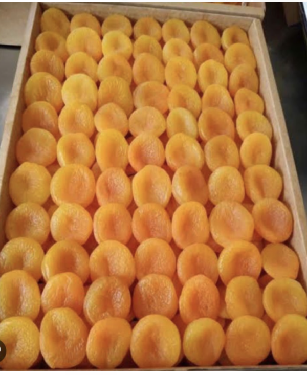 10 kg packaged sulphurated dried apricots